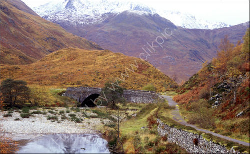 Glen Sheil.